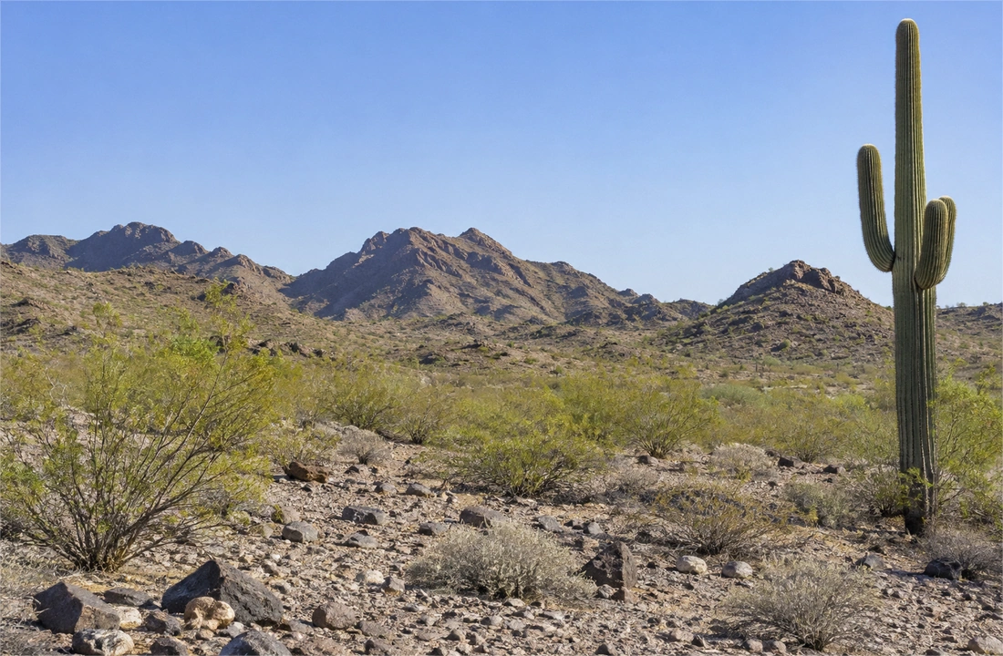 Arizona land offer review for Arizona Land Buyers: What Sellers Should Know